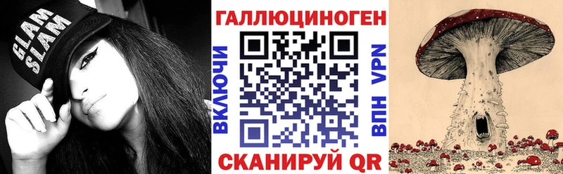 Псилоцибиновые грибы Psilocybe  Бор 